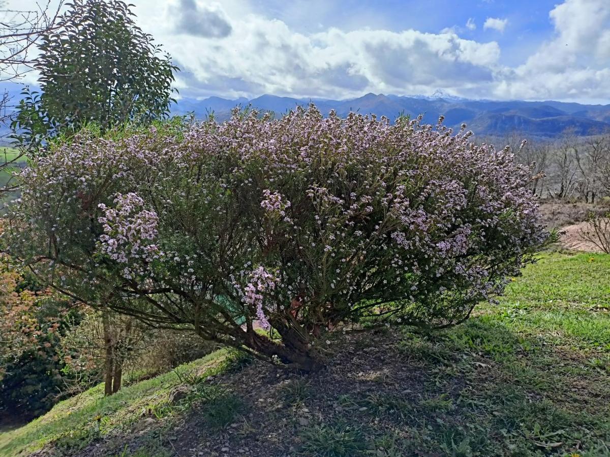 beceña Konuk evi Onís Dış mekan fotoğraf